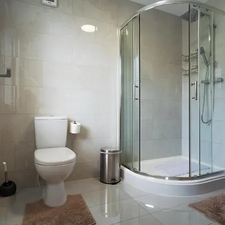 Проживание в семье Dublin Premier *